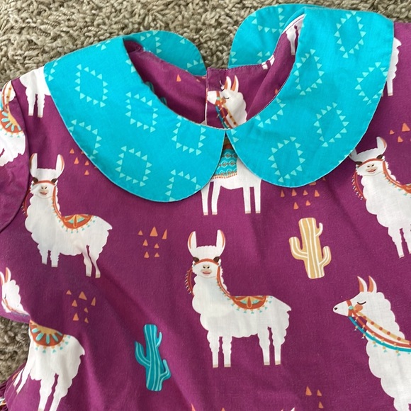 Eleanor Rose Llamas & Cacti Paisley Dress size 7-8 - Picture 3 of 7